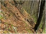 Kraljev hrib - Kapela Marije Snežne (Velika planina)